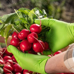 Rękawiczki nitrylowe L zielone Mercator Gogrip green 50szt karton 10op