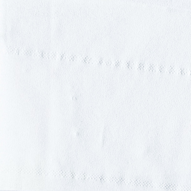 Papier toaletowy mini jumbo długi 170m biały gładki 2 warstwy Bulkysoft Premium 12 rolek
