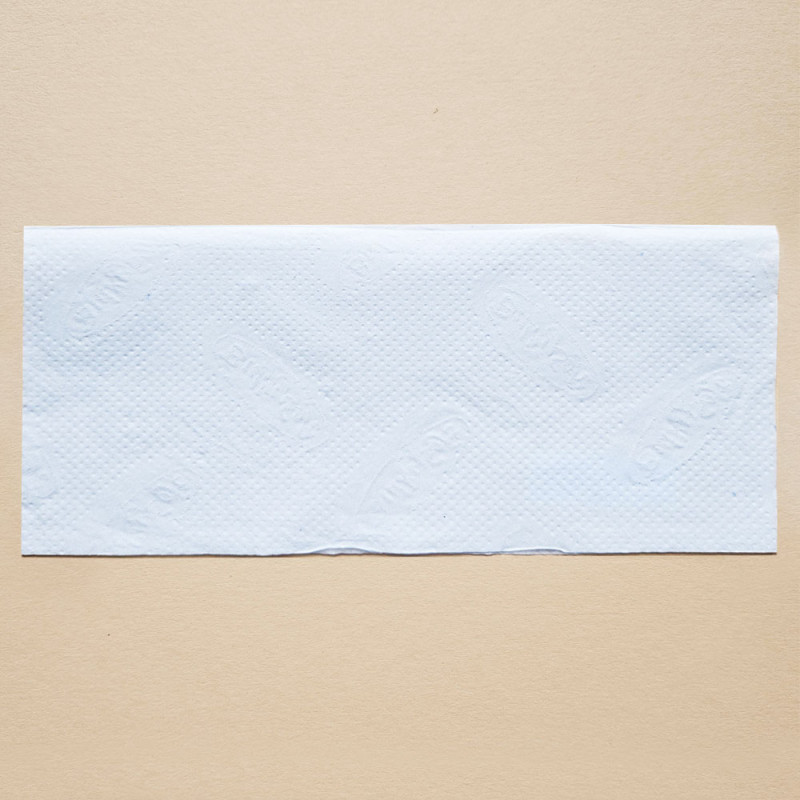 Ekologiczny ręcznik papierowy w listkach mocny i chłonny 24x21cm składany typu ZZ V-FOLD 3000szt biały 2 warstwy