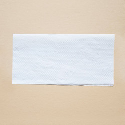 Ekologiczny ręcznik papierowy w listkach kr&oacute;tki 21x21cm składany typu ZZ V-FOLD 3000szt biały 2 warstwy 4op