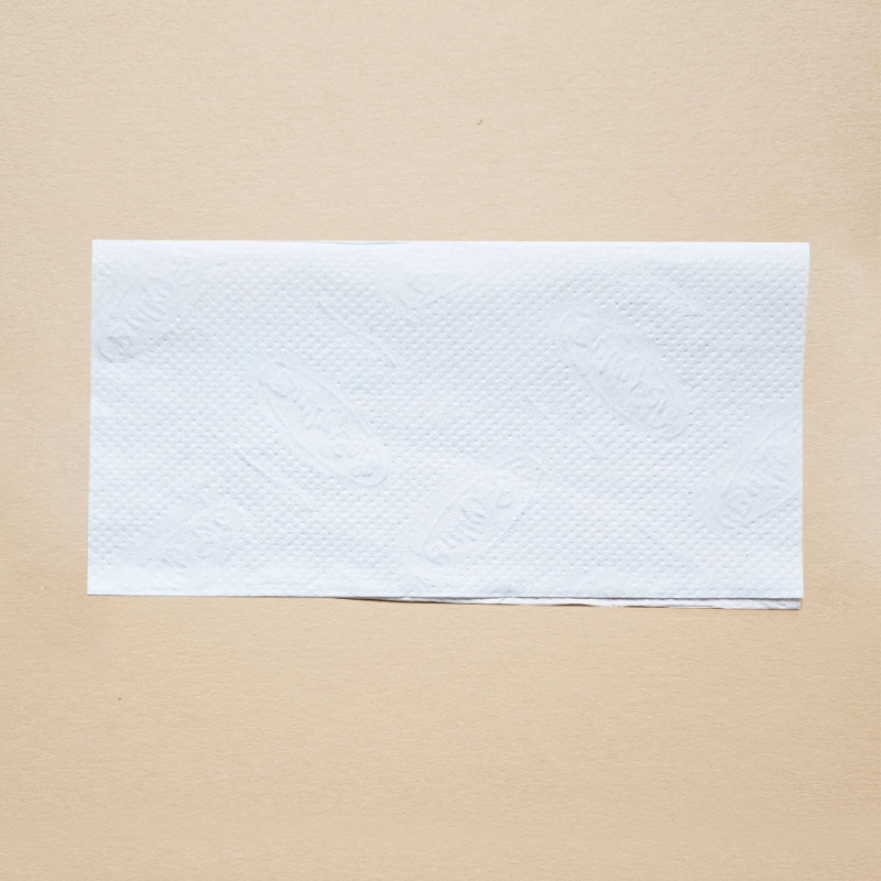 Ekologiczny ręcznik papierowy w listkach kr&oacute;tki 21x21cm składany typu ZZ V-FOLD 3000szt biały 2 warstwy 4op