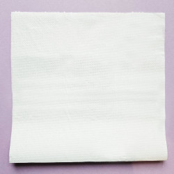 Ręcznik papierowy maxi chłonny...