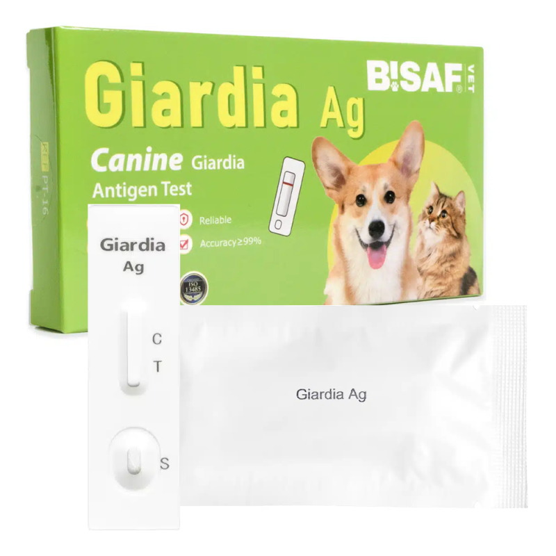 Test na giardię lamblie u psa i kota GIA 1 szt
