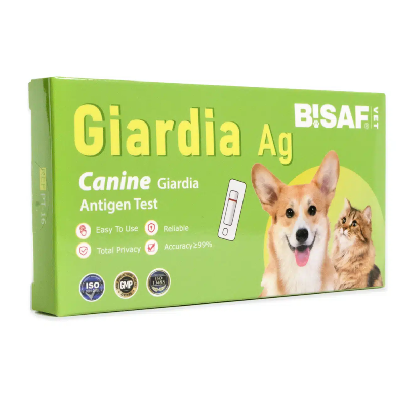 Test na giardię lamblie u psa i kota GIA 1 szt