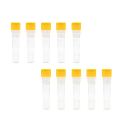 Test na grzybicę i drożdżycę sk&oacute;ry u psa i kota COMBO 2w1 Malassezia dermatofitoza 10 szt