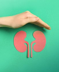 Urologia