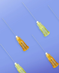 Endodoncja